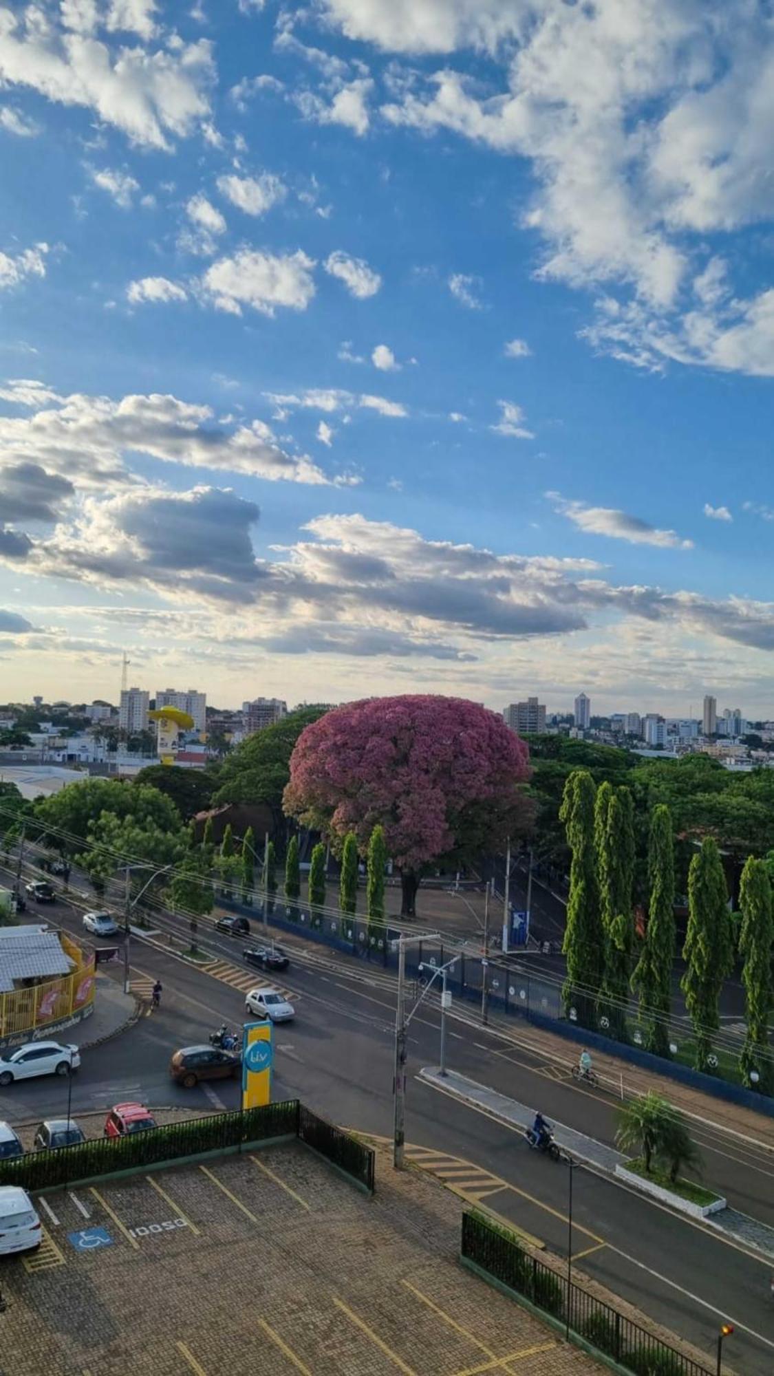 Hotel Golden Park Uberaba By Nacional Inn Rom bilde